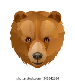 Vector bear head
