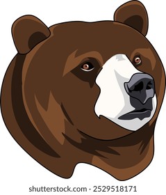 vector bear head in the wild