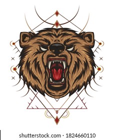 VECTOR BEAR ILLUSTRATION. animal design with ornament background.