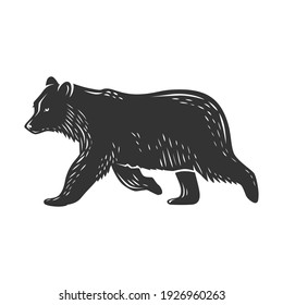 Vector bear illustration. Black and white vector object.