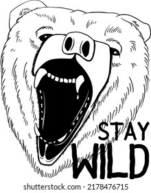 Vector Bear isolated on white background with say wild slogans. Furious bear head. Bear silhouette.