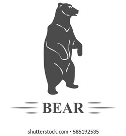 Vector Bear, Bear Posing Standing, Watching, White Background, Isolated. T - Print