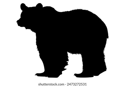 Silueta de oso de Vector aislado sobre fondo blanco, animal del oso polar, animal de la fauna diversa pose en Vector.
