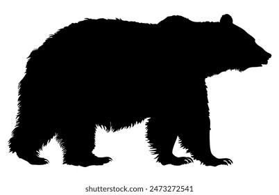 Vector bear silhouette isolated on white background, Polar Bear animal, Wildlife animal various pose in vector.