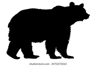Vector bear silhouette isolated on white background, Polar Bear animal, Wildlife animal various pose in vector.