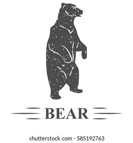 vector bear vintage, bear posing standing, watching, white background, isolated. T - print, logo patch on sleeve, logo, sticker.
