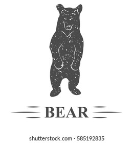 vector bear, vintage bear standing in front of him, watching, white background, isolated. T - print, logo, label, sticker, isolated, leisure, logo.