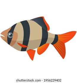 Ilustración de especies de agua dulce de peces de barbacoa sin vectores
