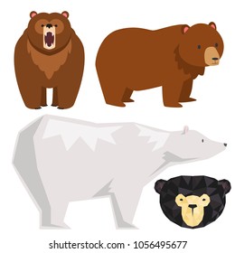Vector bears different style funny happy animals cartoon predator cute bear character illustration