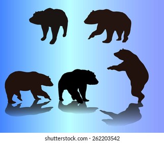 Vector bears silhouette collection