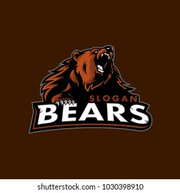 vector of bears sport logo