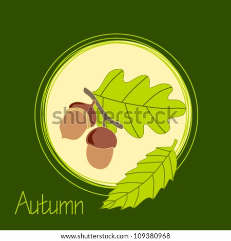 Vector beautifu floral of  background illustration