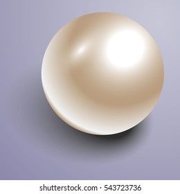 Vector Beautiful 3D shiny natural White Pearl