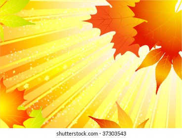 vector of beautiful autumn background