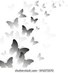 vector, beautiful background with butterflies,
template