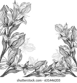 Vector beautiful background with hand drawn flowers for invitation and postcards on white