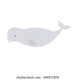 Vector beautiful beluga polar dolphin white whale.illustration for the children