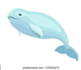 Vector beautiful beluga polar dolphin white whale marine mammal