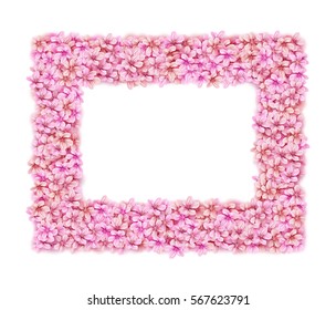 Vector beautiful blossom pink sakura Japan cherry square frame spring time romantic floral element