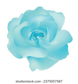 Vector beautiful blue rose isolated on white background photorealistic gradient mesh