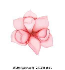 Vector beautiful bouquet flowers on white background.