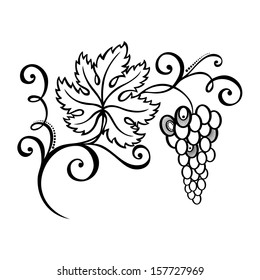 Vector Beautiful Branch of Grapes