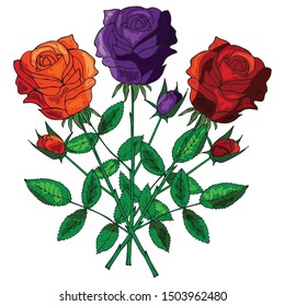 Vector beautiful bright bouquet of purple, burgundy and orange roses. Holiday. Valentine's Day. Gothic. Halloween. Realistic botanical doodling. Hand drawing. Isolated object on a white background.