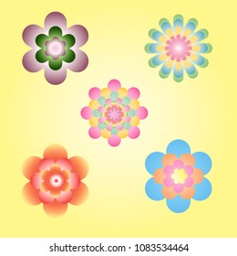 vector beautiful and bright flowers