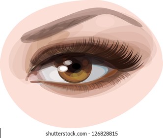 Vector of beautiful brown woman's eye.