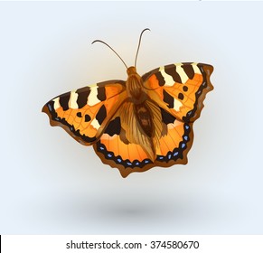 Vector beautiful butterfly
