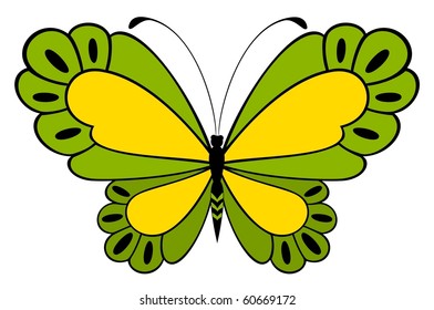 Vector beautiful butterfly