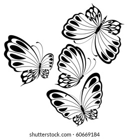 Vector beautiful butterfly