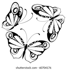 Vector beautiful butterfly