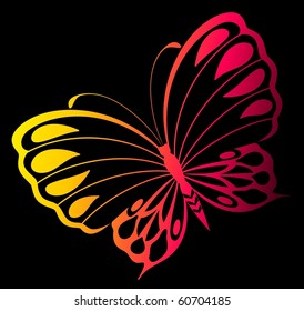 Vector beautiful butterfly