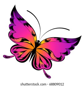Vector beautiful butterfly