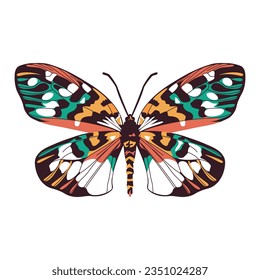 vector beautiful butterfly cartoon illustration isolated