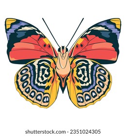 vector beautiful butterfly cartoon illustration isolated