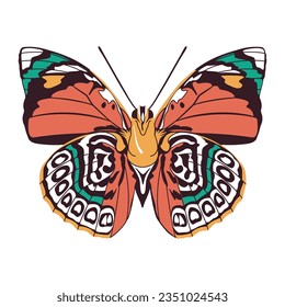 vector beautiful butterfly cartoon illustration isolated