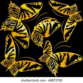 Vector beautiful butterfly for a design