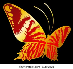 Vector beautiful butterfly for a design