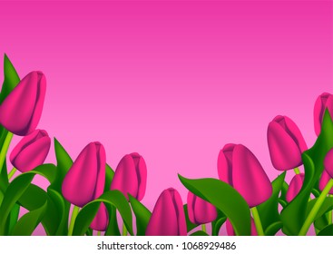 Vector beautiful card with lettering happy mother's day on pink background and tulp flowers