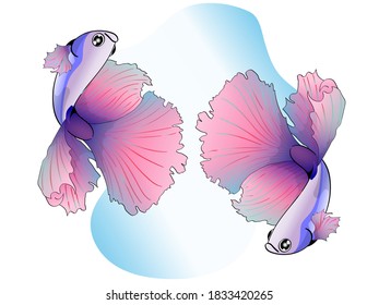 
Vektor Schöner bunter Bettfisch