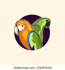 vector of beautiful colorful parrots
