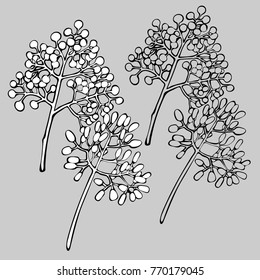 Vector  with beautiful decorative branches and flowers.
Can be used for printing on paper, suitable for festive invitations, fashion industry, textile and other.