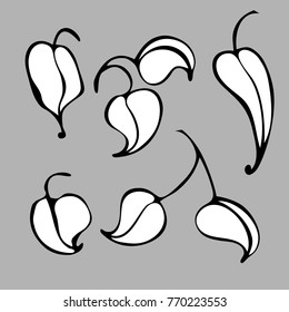 Vector  with beautiful decorative  flowers.
Can be used for printing on paper, suitable for festive invitations, fashion industry, textile and other.
