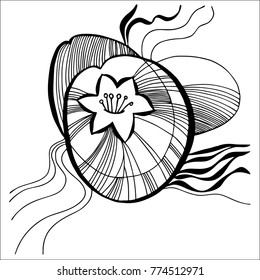 Vector  with beautiful decorative  flowers water lilies , hand-drawn
in a sketchbook, translated into vector. Black and white style.
Can be used for printing on paper, suitable for festive invitat