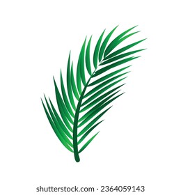 Diseño de la ilustración decorativa de la hoja de palma verde vectorial.