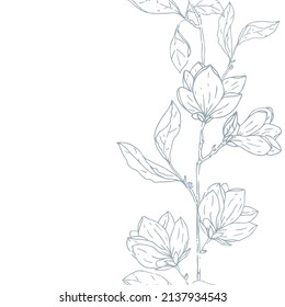 Vector Beautiful Delicate Magnolia Florals Lineart Border seamless pattern background. Perfect for fabric, scrapbooking and wallpaper projects.
