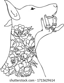 Vector beautiful doberman illustration. graphic peonies sketch. dog and flower buds sketch. beloved pet and den's hand in the rings. botanical art. animalistic background