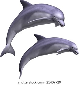 VECTOR: Beautiful dolphin leaping